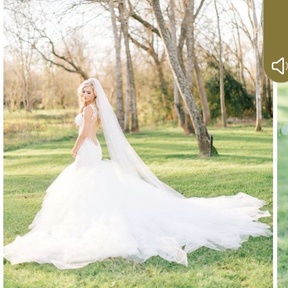 Blanca Veil 144inches